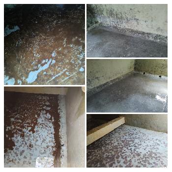 Doenças Causadas por Caixa d'Água Suja Doenças Causadas por Caixa d'Água Suja